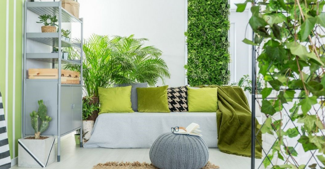 cần ưu tiên những mảng xanh khi thiết kế nội thất phòng khách
